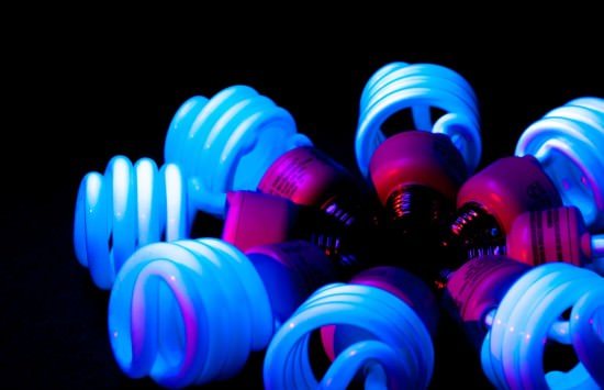 CFL Curly Bulbs
