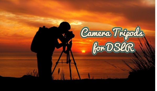 Best Camera Tripods for DSLR